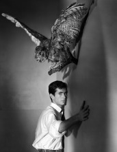 Imagen de Psicosis - 9