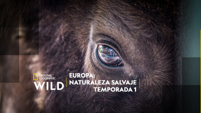 Europa: naturaleza salvaje 