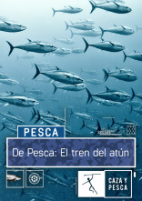 Imagen de De pesca: el tren del atún - 1