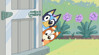 Bluey - Mariposas