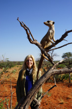 Pesadillas animales: Safari en Kalahari