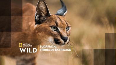 Imagen de Sudáfrica: tierra de extremos - 2