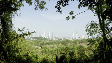 La hora de la naturaleza: Despertar