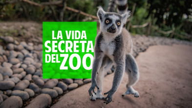 La vida secreta del Zoo