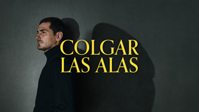 Colgar las Alas 