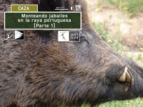 Monteando jabalíes en la raya Portuguesa 1ª parte