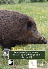 Monteando jabalíes en la raya Portuguesa 2ª parte