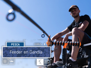 Imagen de Feeder en Gandía - 2