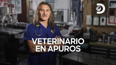 Imagen de Veterinario en apuros: Nueve vidas - 2