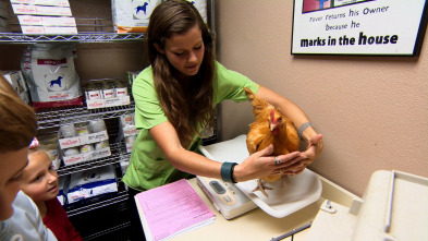 Imagen de Veterinario en apuros  - 4