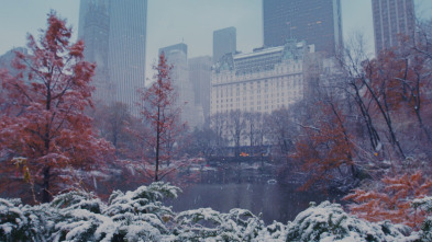 Imagen de Navidades en el Plaza - 12