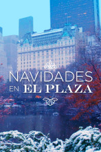 Imagen de Navidades en el Plaza - 1