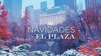 Imagen de Navidades en el Plaza - 2