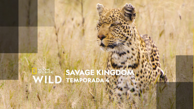 Imagen de Savage Kingdom  - 2