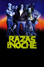 Imagen de Razas de noche - 1