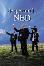Imagen de Despertando a Ned - 1