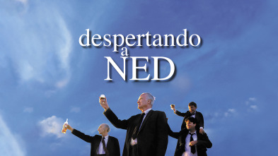 Imagen de Despertando a Ned - 2