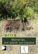 Imagen de Montería, una pasión portuguesa - 1