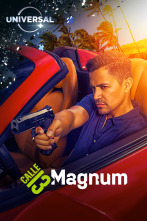 Imagen de Magnum (T1) - 1