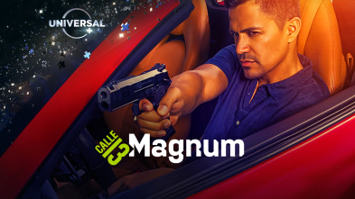 Imagen de Magnum (T1) - 2