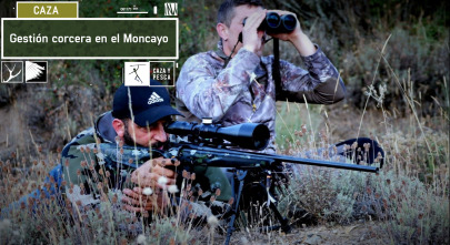 Imagen de Gestión corcera en el Moncayo - 2