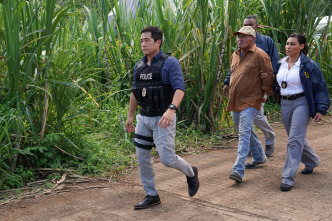 Imagen de Magnum (T2): Ep.10 Hermanos de sangre - 1