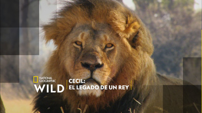 Cecil: el legado de un rey