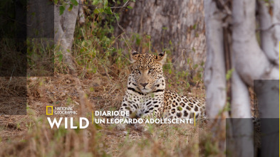 Imagen de Diario de un leopardo adolescente - 2