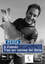 A Pulmón (T1)