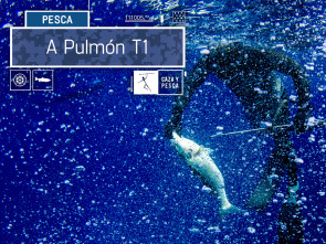 A Pulmón (T1)