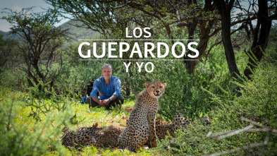 Imagen de Los guepardos y yo  - 2