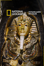 Tutankamón en color