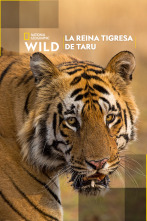 Imagen de La reina tigresa de Taru - 1