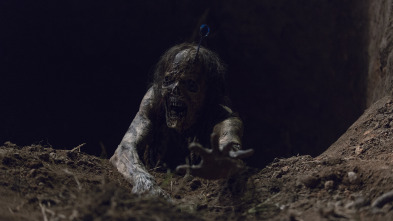 Imagen de The Walking Dead (T9): Ep.10 Omega - 1