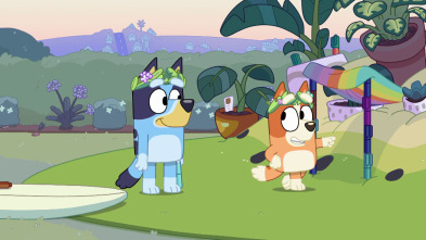 Bluey - Isla Alfombra