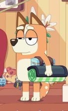 Bluey (T2): Geco pegajoso