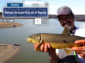Barbos de superficie en el Yeguas