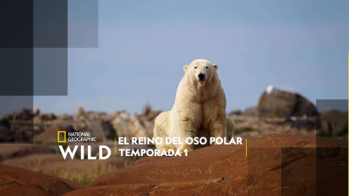 El reino del oso polar