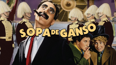 Sopa de ganso