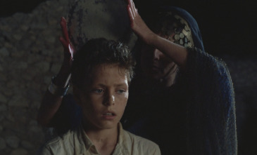 Imagen de El niño de la luna - 5