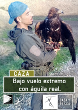 Imagen de Bajo vuelo extremo con águila real - 1