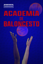 Informe Robinson (6): Academia de baloncesto