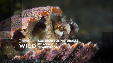 Imagen de Los secretos naturales de Asia  - 7
