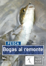 Bogas al remonte