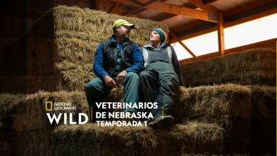 Imagen de Veterinarios de Nebraska (T1) - 2