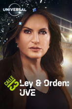 Imagen de Ley y orden: unidad de víctimas especiales (T22) - 1