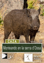 Imagen de Monteando en la Serra d'Ossa - 1