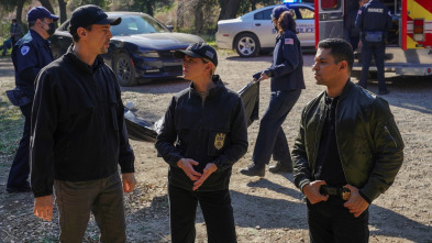 Imagen de NCIS: Naval... (T18): Ep.12 Sangre - 2