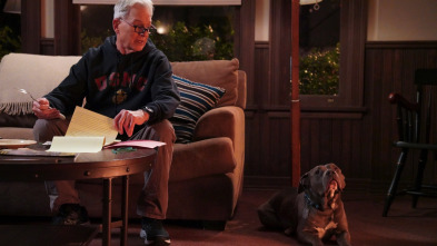 Imagen de NCIS: Naval... (T18): Ep.12 Sangre - 5