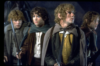 Imagen de El señor de los anillos: la comunidad del anillo (versión extendida) - 4